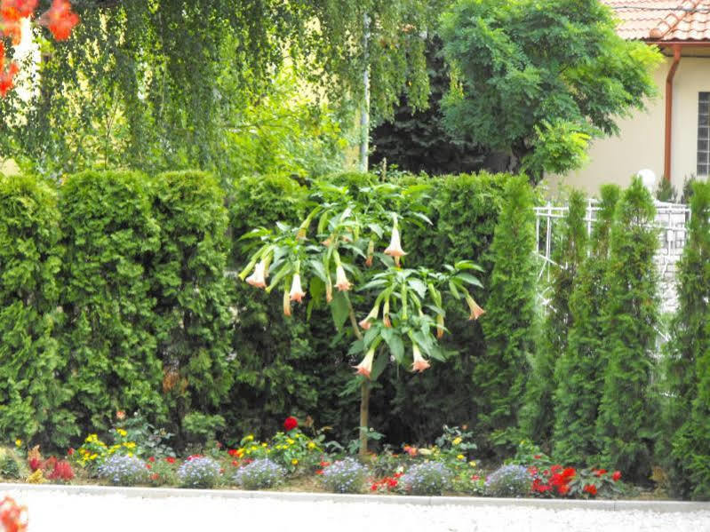 Andrea Villa Heviz I Balaton Bagian luar foto